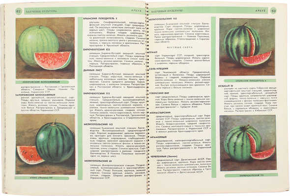 Каталог овощных семян. Овощные, бахчевые культуры и кормовые корнеплоды. М., 1957.