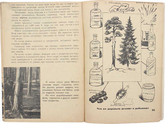 Сборник о лесе. Зеленое золото / Обл. А. Интезарова; рис. А. Налетова. [Л.]: Б. и., 1931.