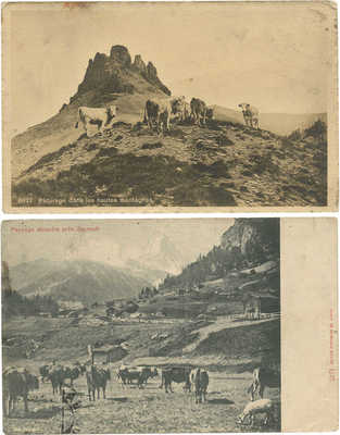 Подборка из старинных открыток с живописными видами Швейцарии. [1910-е].