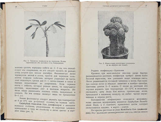 Винтер Н.А., Каминский Н.Р. Растения для уголков живой природы / Ботанический ин-т АН СССР. М.; Л., 1937.