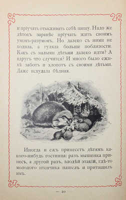 Львов В.Н. Приключения ежа. Естественно-исторический рассказ / С рис. Н.Н. Львовой. 2-е изд. М., 1910.